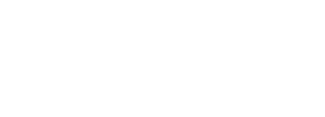 MS PARTNERS