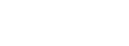 MS PARTNERS